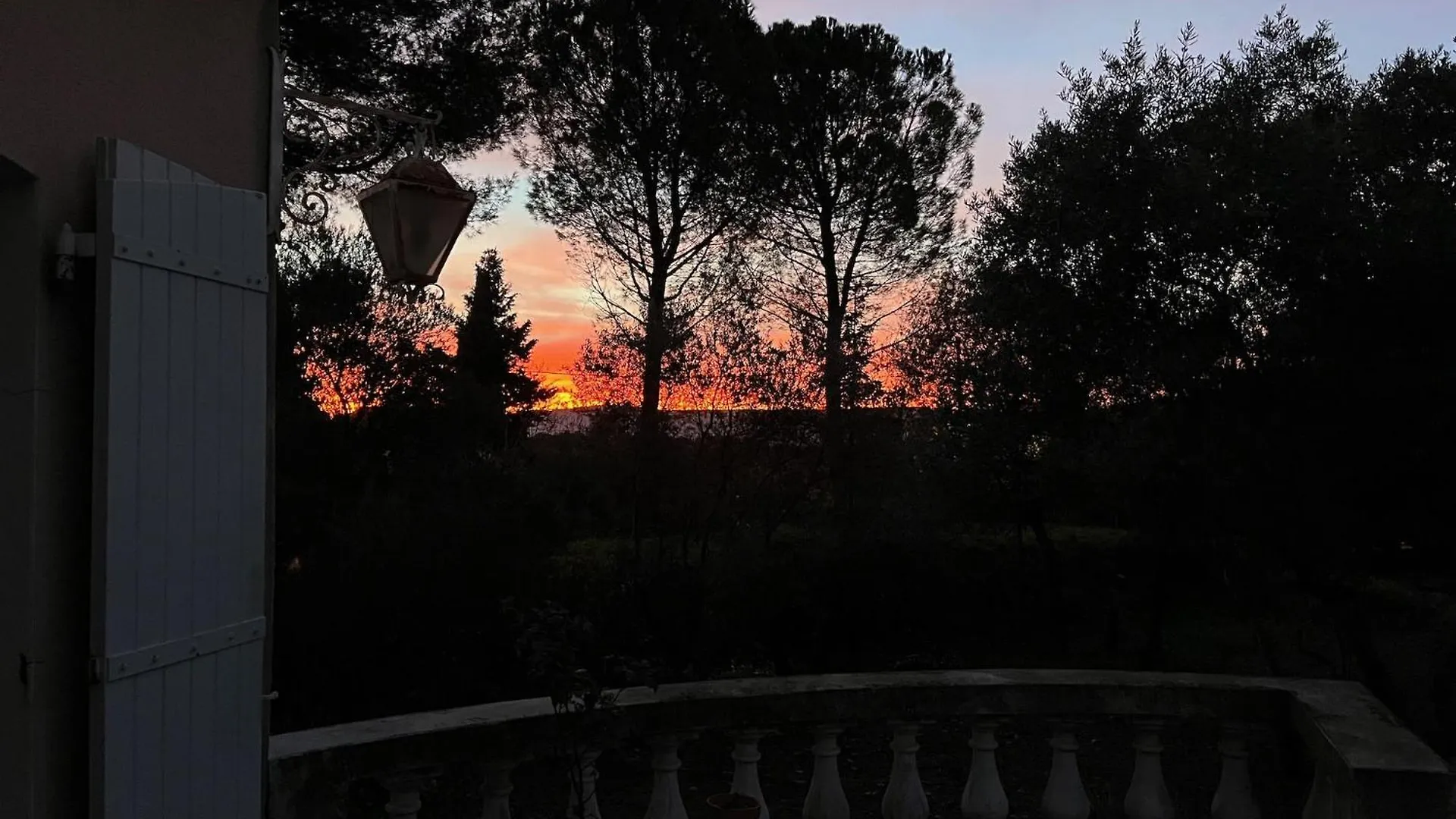Villa Grand Cedre مارسيليا فرنسا
