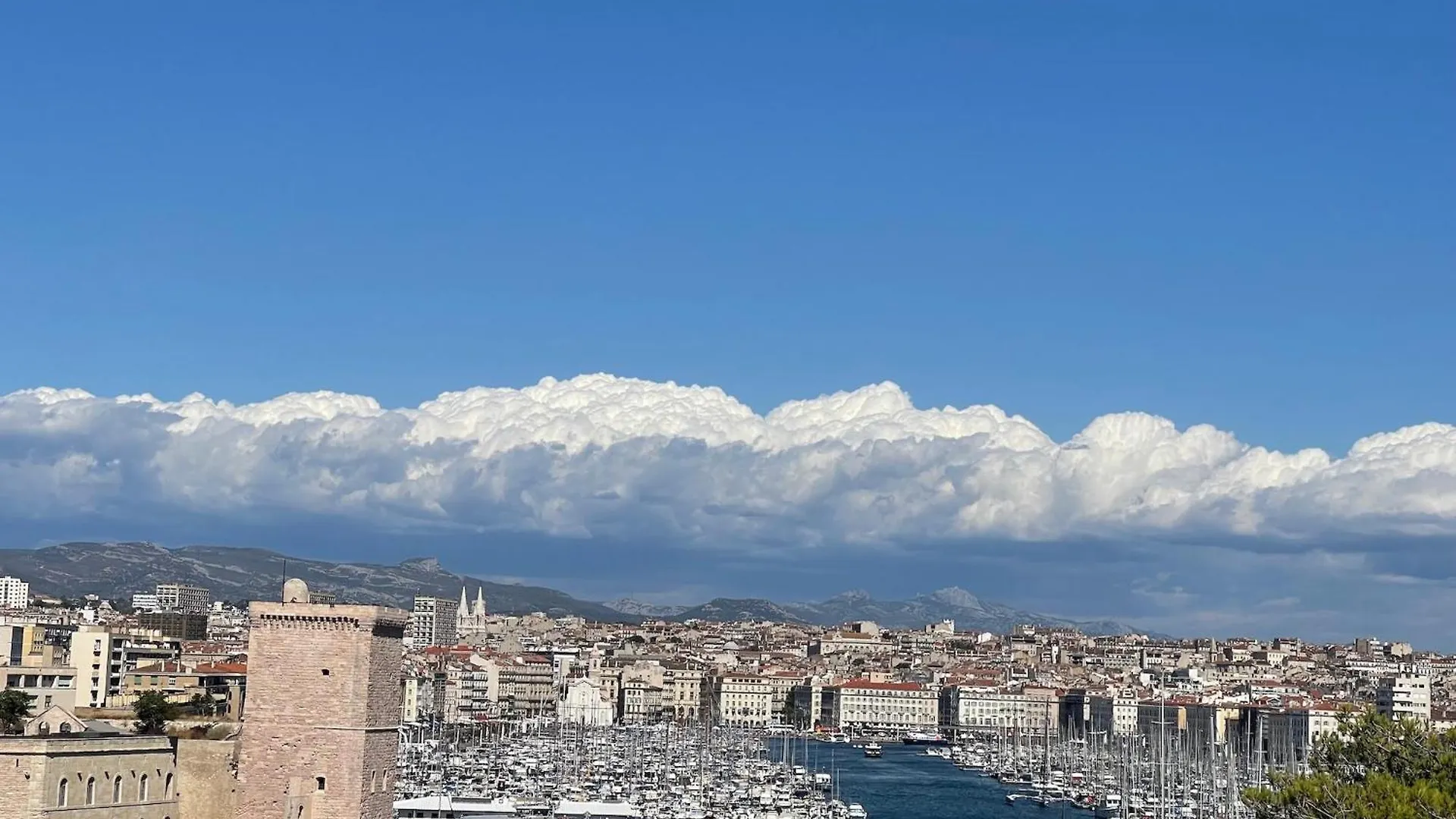 Villa Grand Cedre Marseille