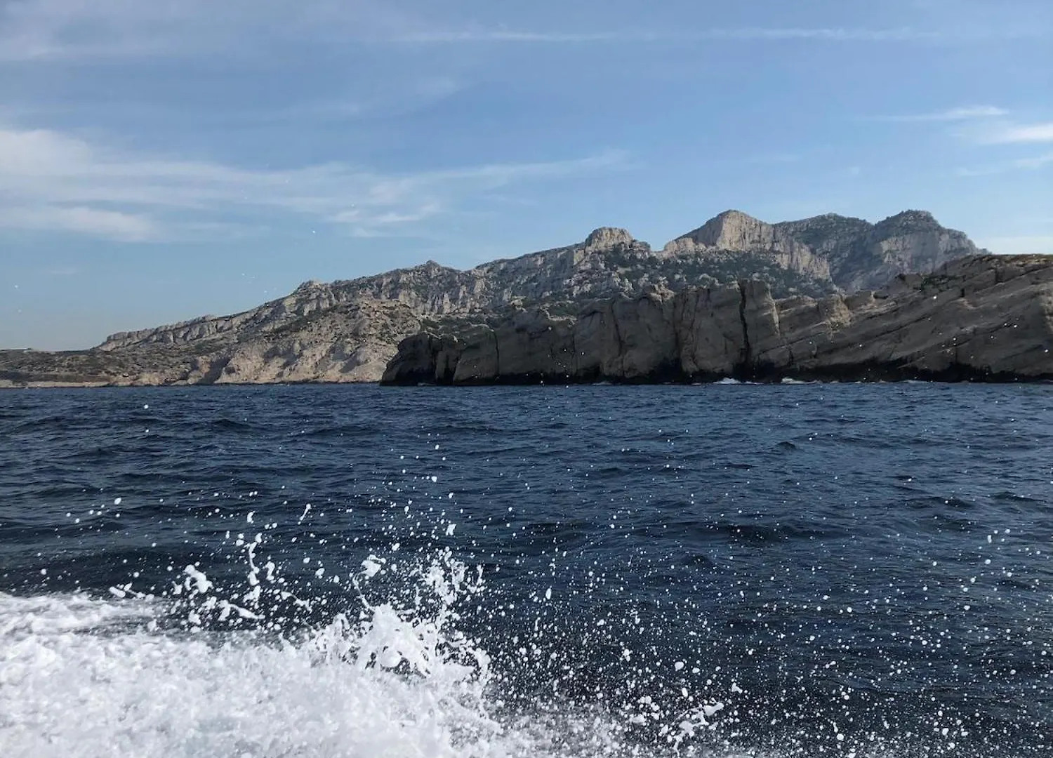 Villa Grand Cedre Marseille