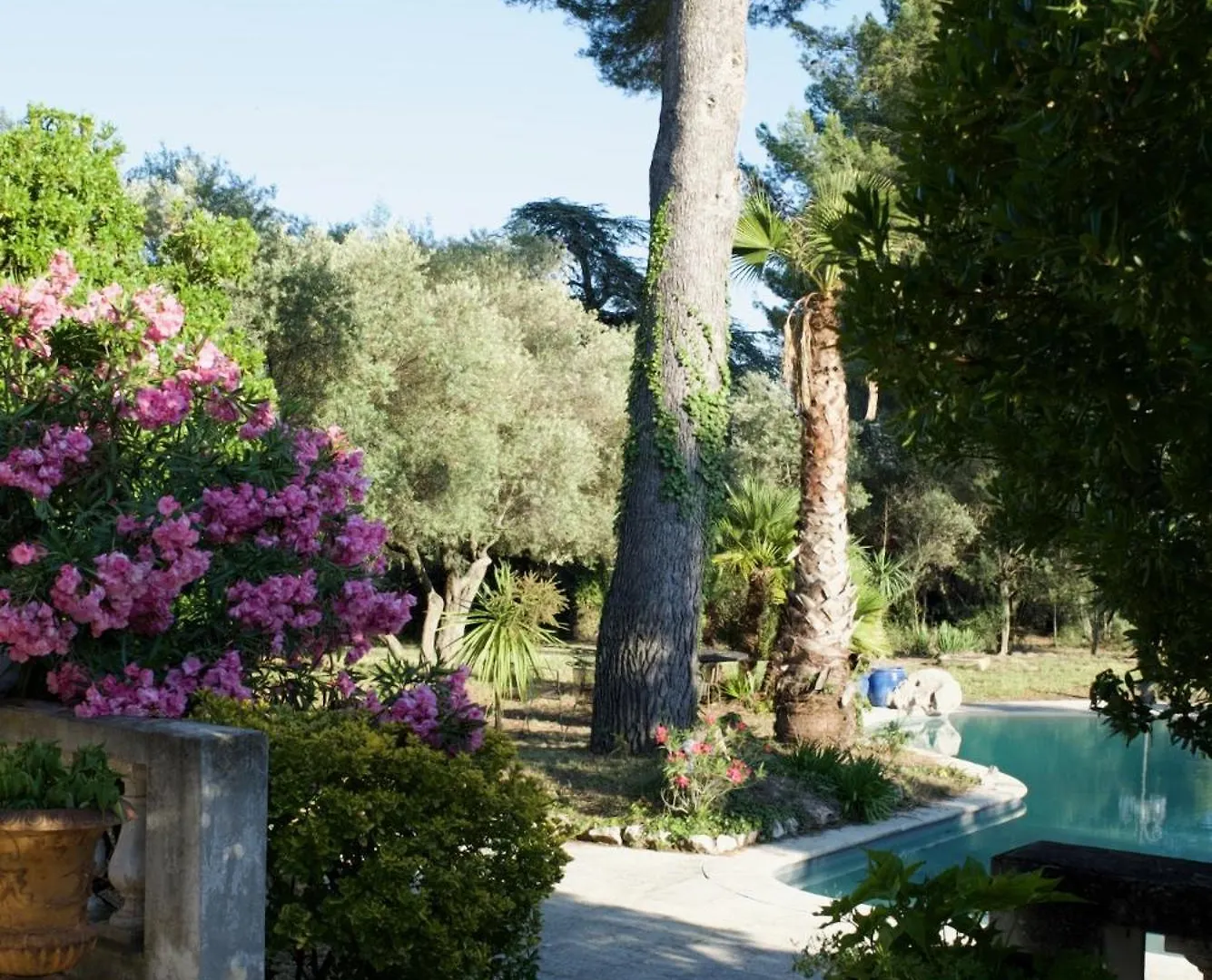 Villa Grand Cedre Marseille