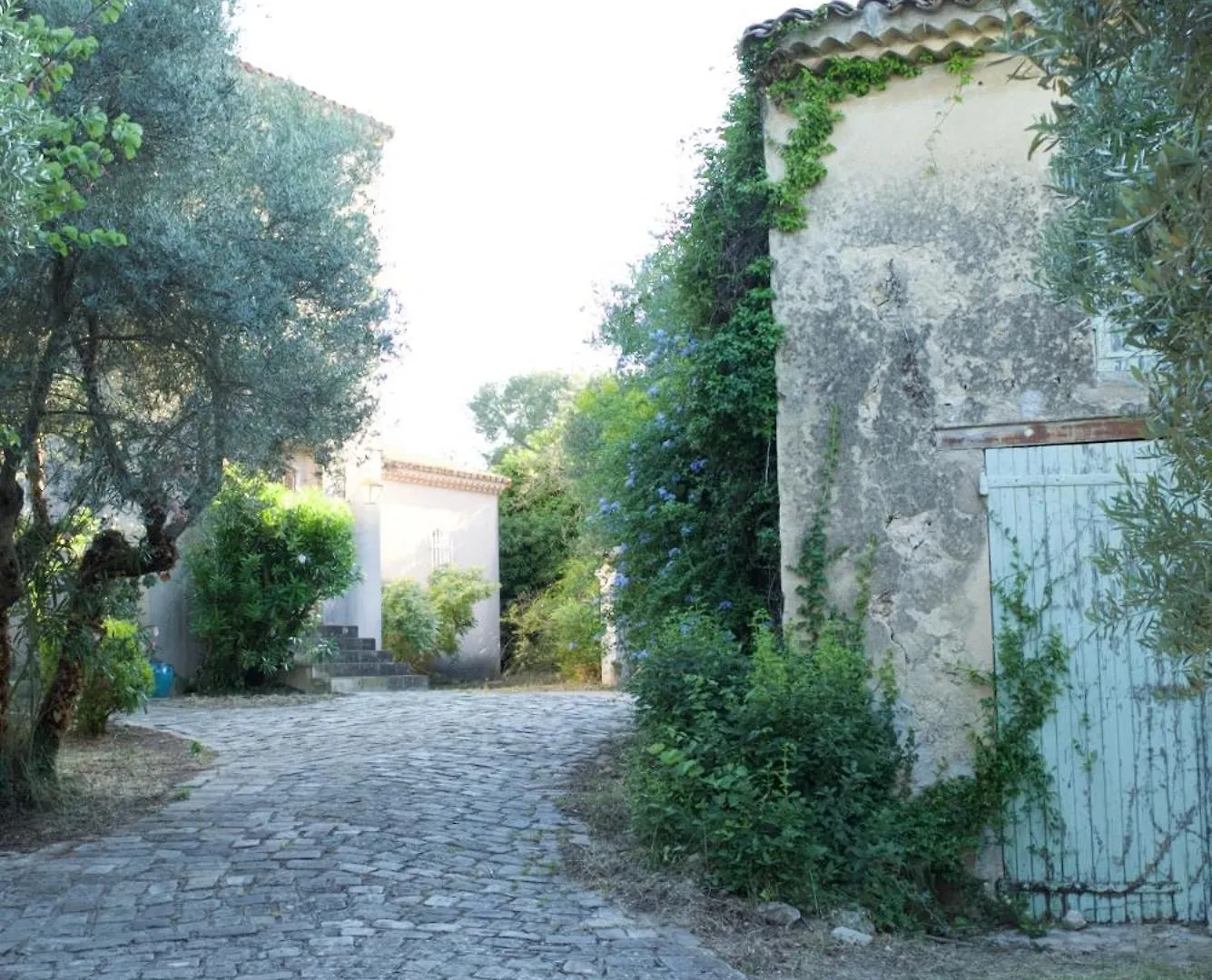 Villa Grand Cedre Marseille