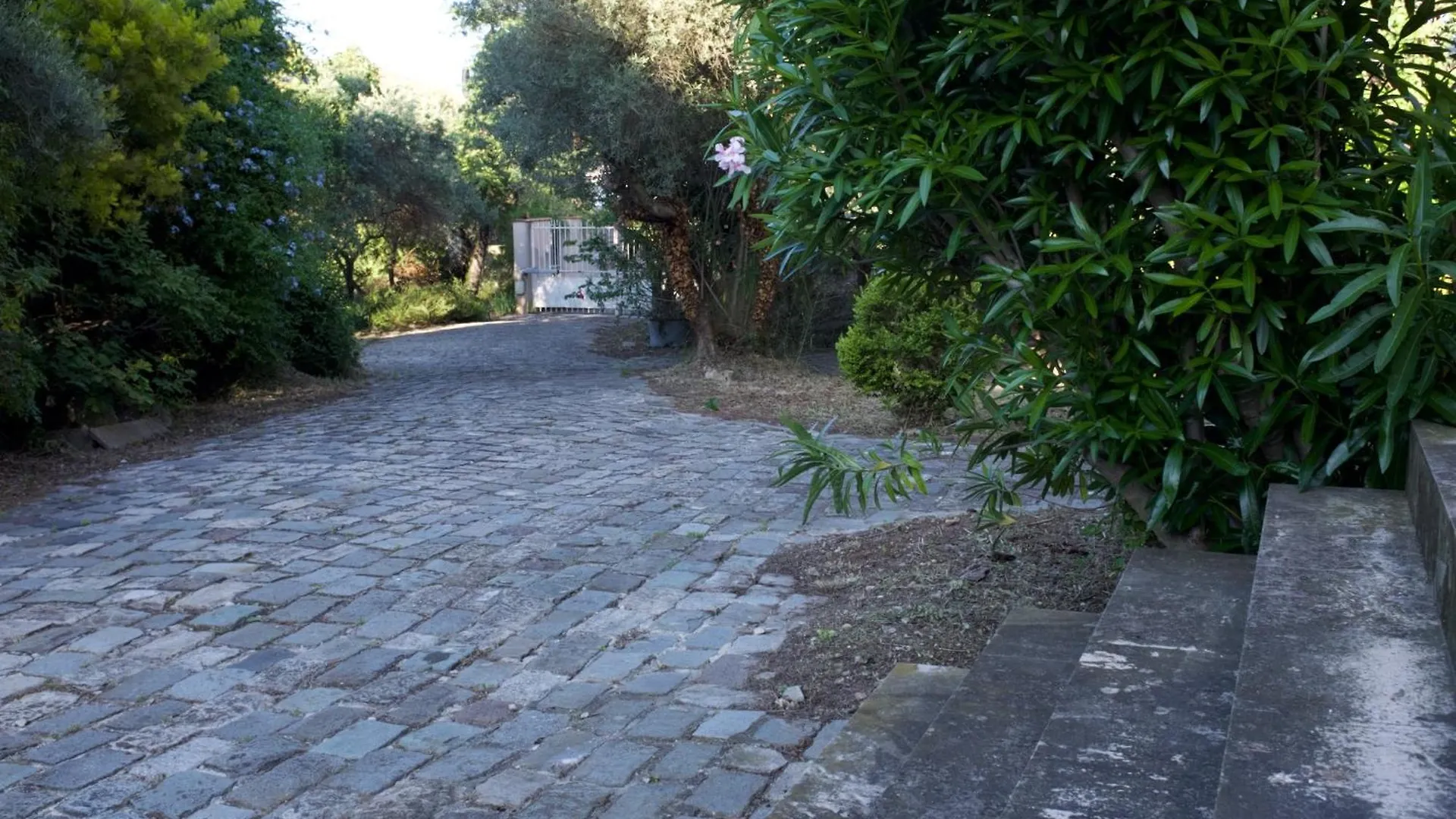 Villa Grand Cedre Marseille 0*,
