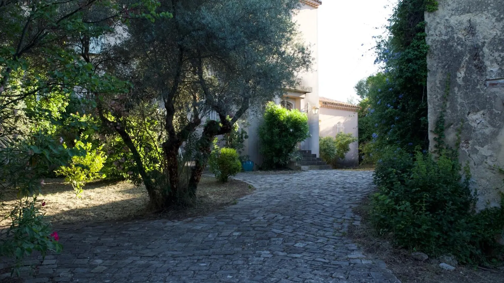 Villa Grand Cedre Marseille